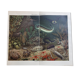 Poster Marine Fauna Bibliogr. Institute in Leipzig