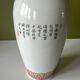 Vase chinois paon feuillages