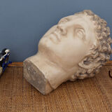 Greek head in waxed plaster