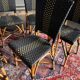 6 chaises vintages de terrasse de bistrot parisien en rotin