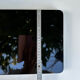 Asian lacquered wood tray