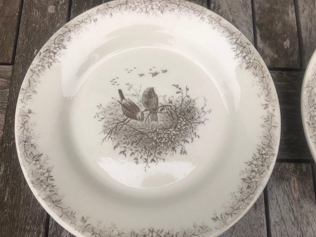 Bird plate duo Ch. Lecerf early XX