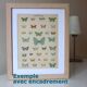 Old engraving of Butterflies - Lithograph from 1887 - Strigula - Original zoological illustration