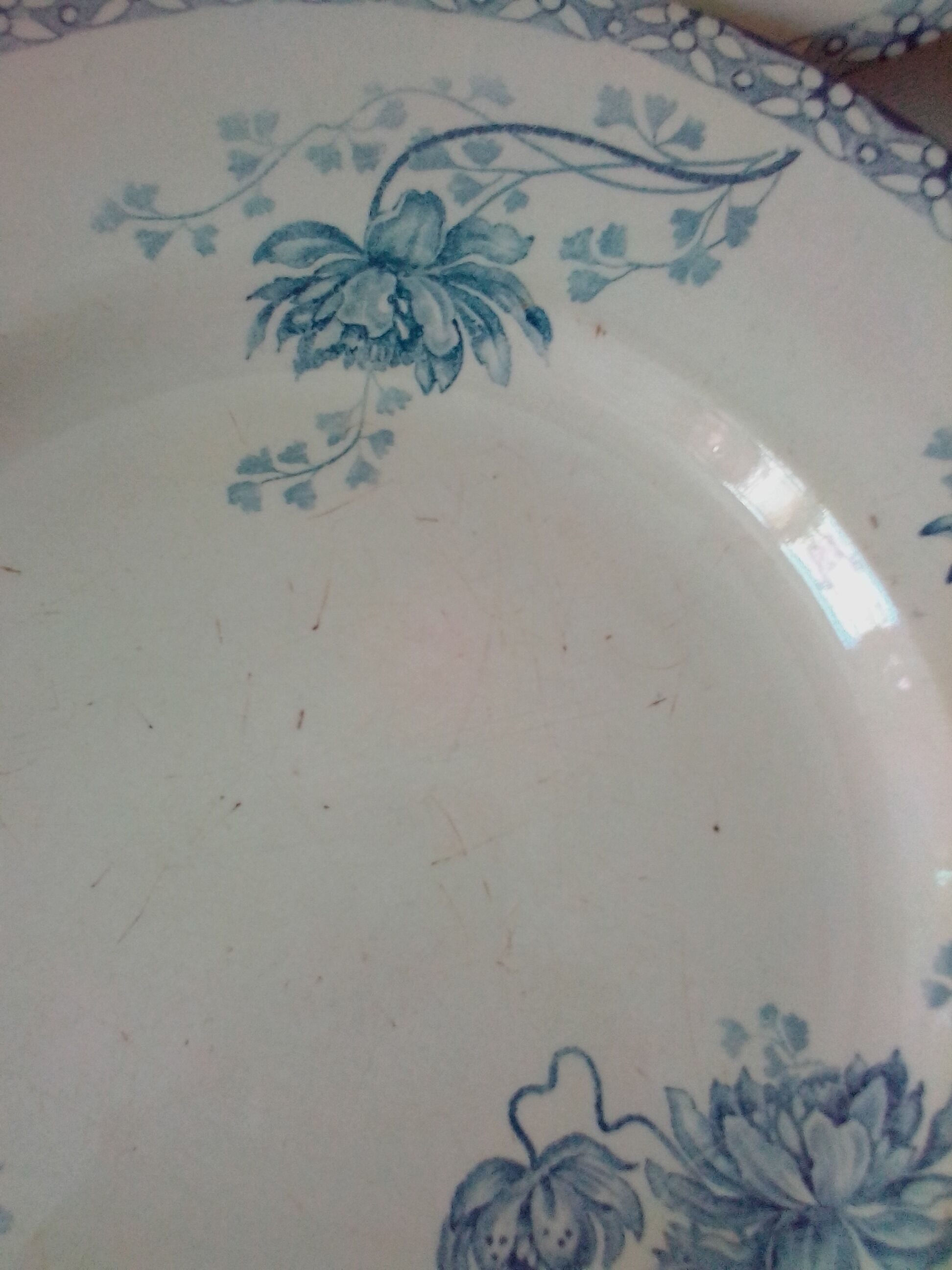 6 dinner plates model royat sarreguemines