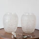 Paire vases modèle Biches Lalique