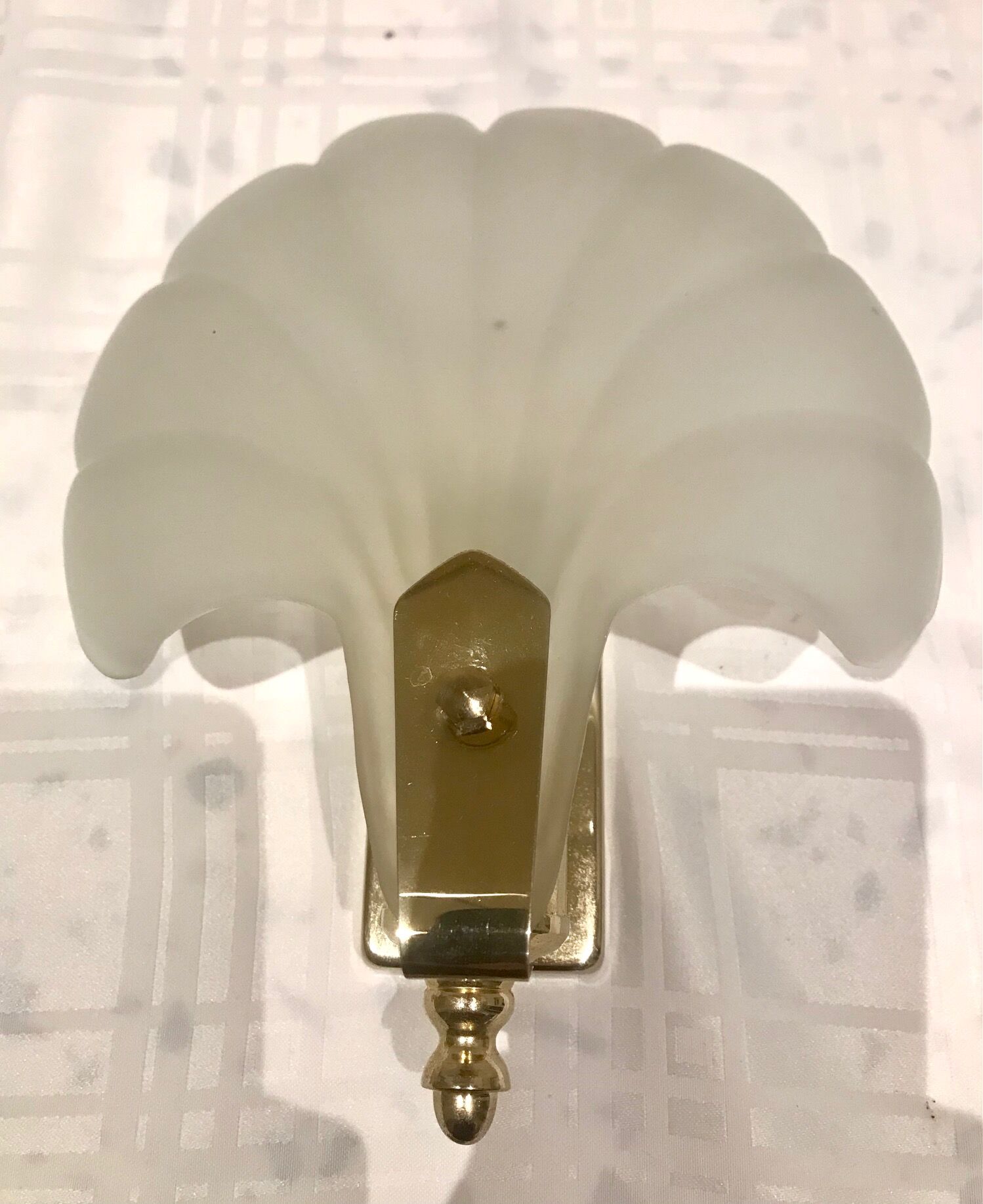 Pair of shell sconces