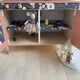 Cuisine enfant
