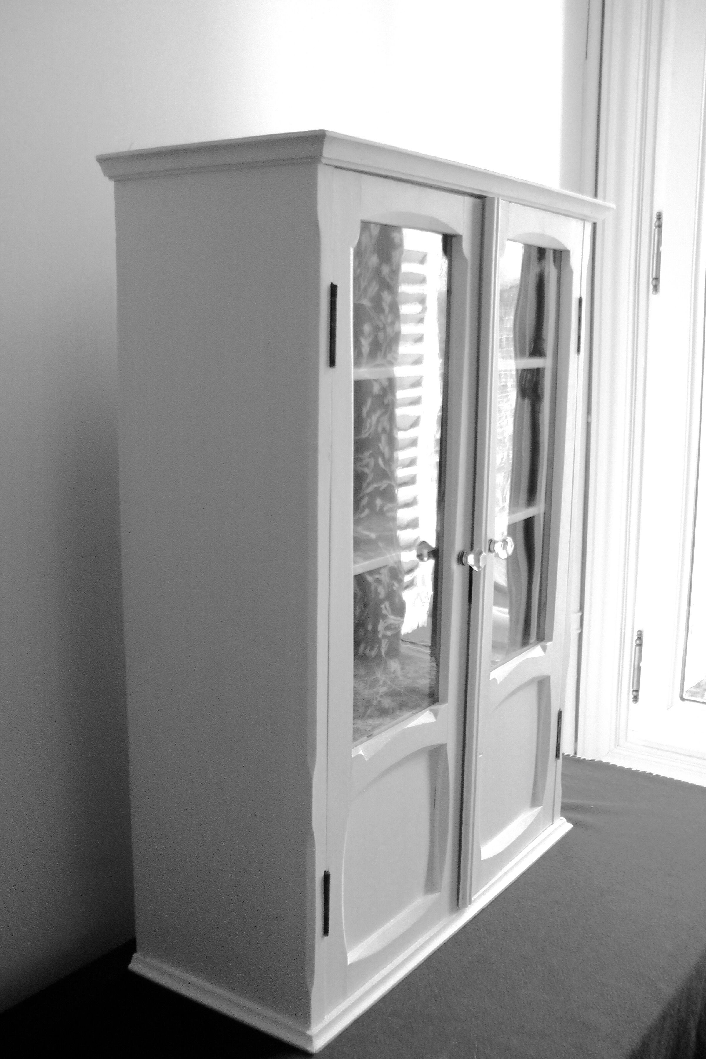 Showcase wall cabinet