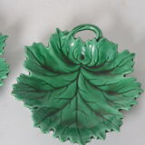 Empty fig leaf pockets