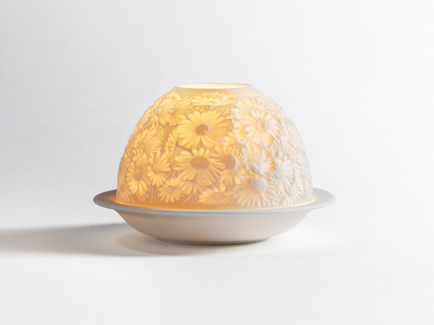 Photophore les Lithophanies Bernardaud . The Daisies