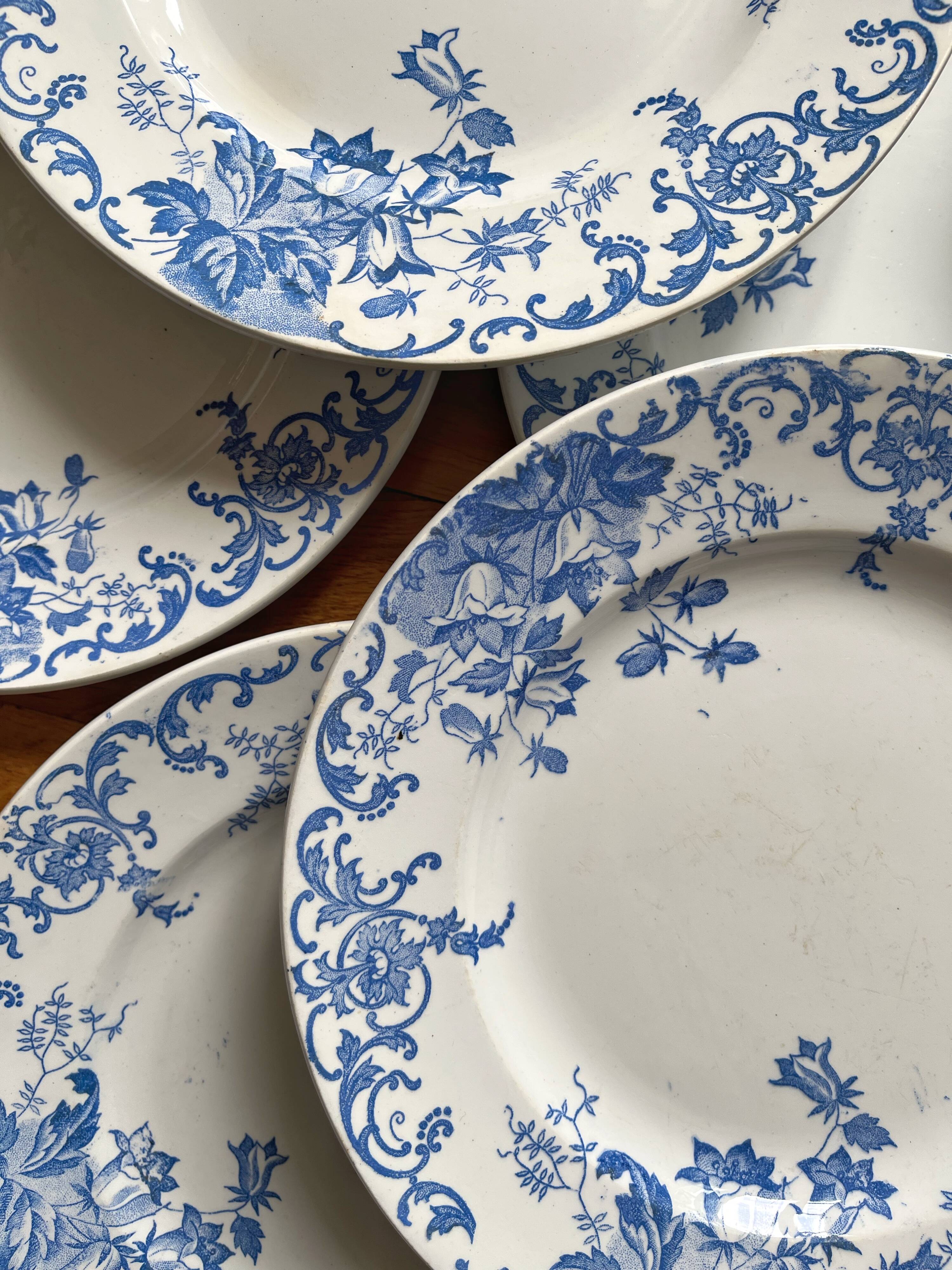 12 small flat plates "Campanule" Saint Amand and Hamage