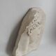 Visage antique en relief