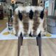 Faux fur chair with patterns & tapered dark wood legs