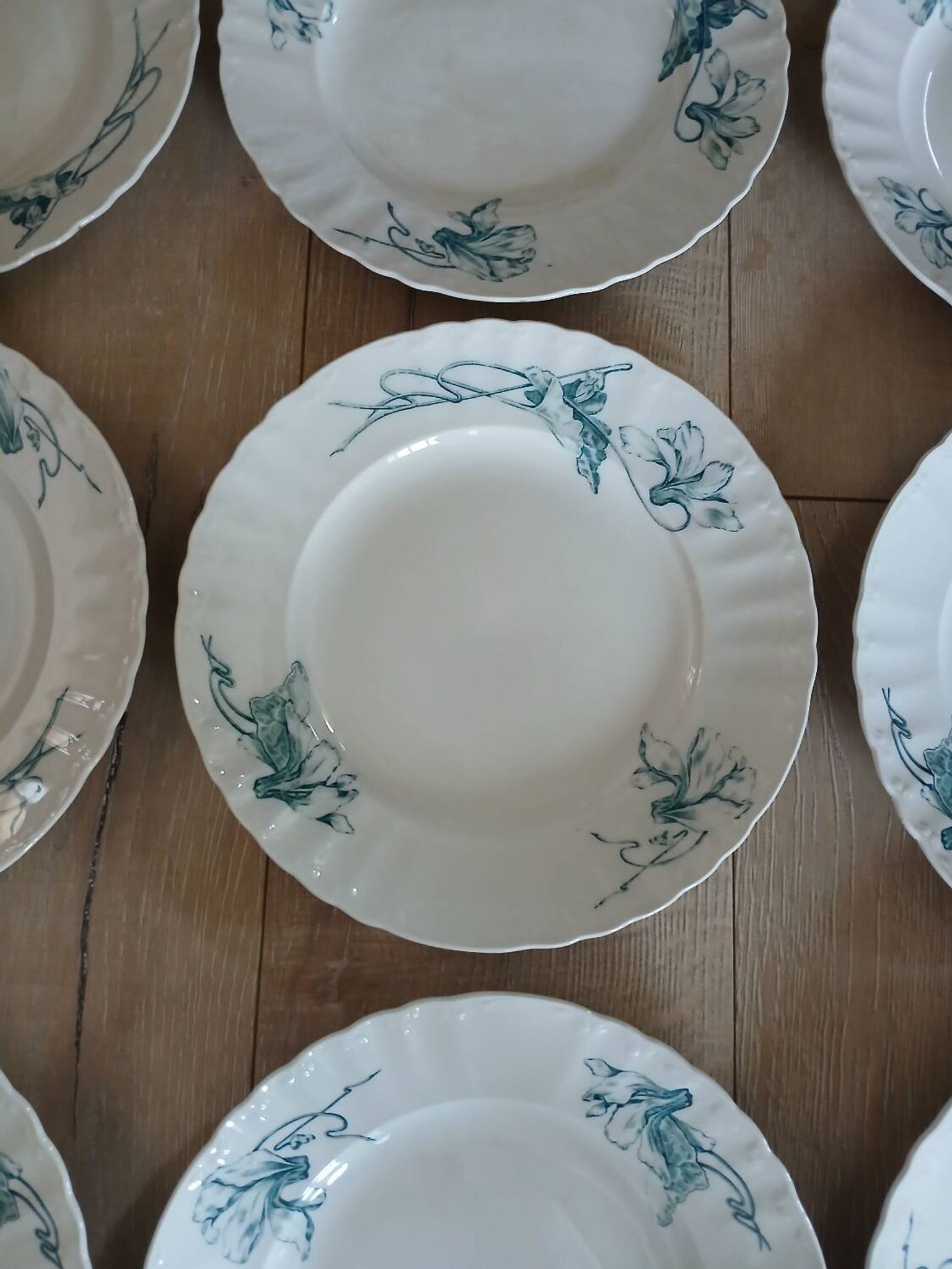 12 assiettes plates anciennes en Terre de fer 