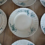12 assiettes plates anciennes en Terre de fer 
