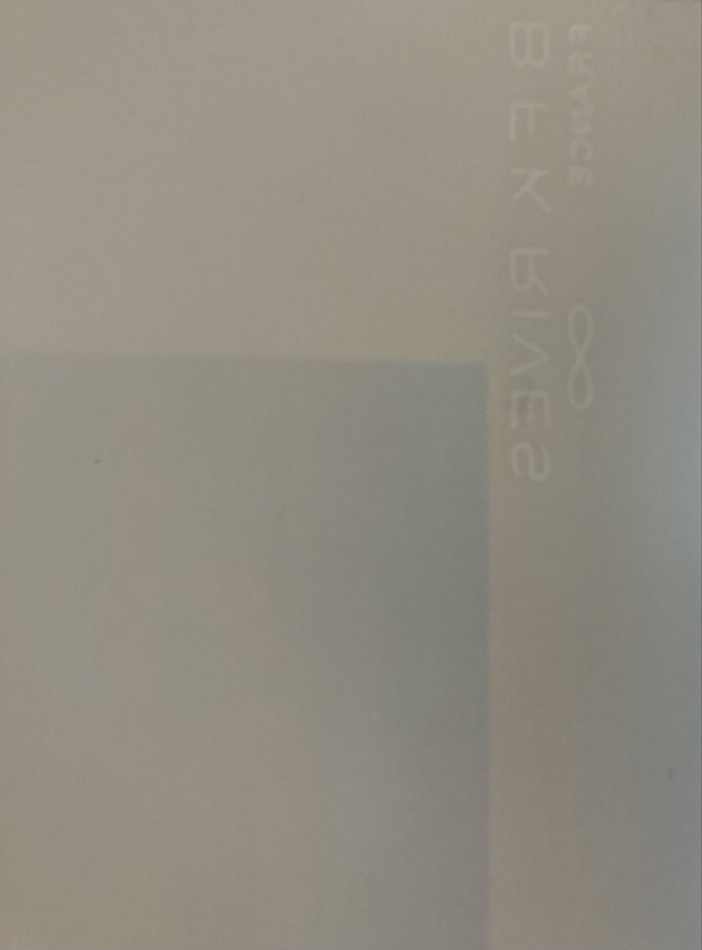 Lithographie signée de l’artiste francais provençal  victor zarou