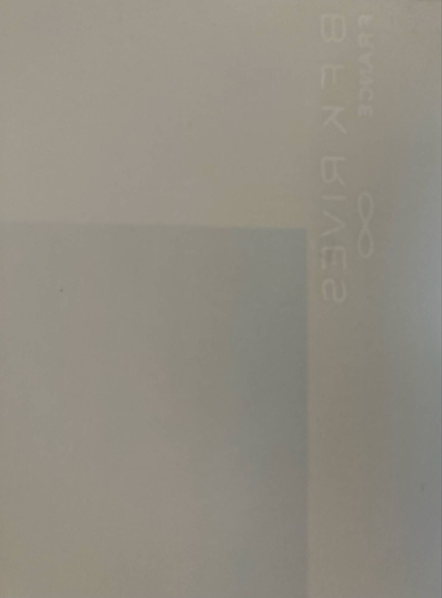 Signed lithograph by the Provençal French artist Victor Zarou.