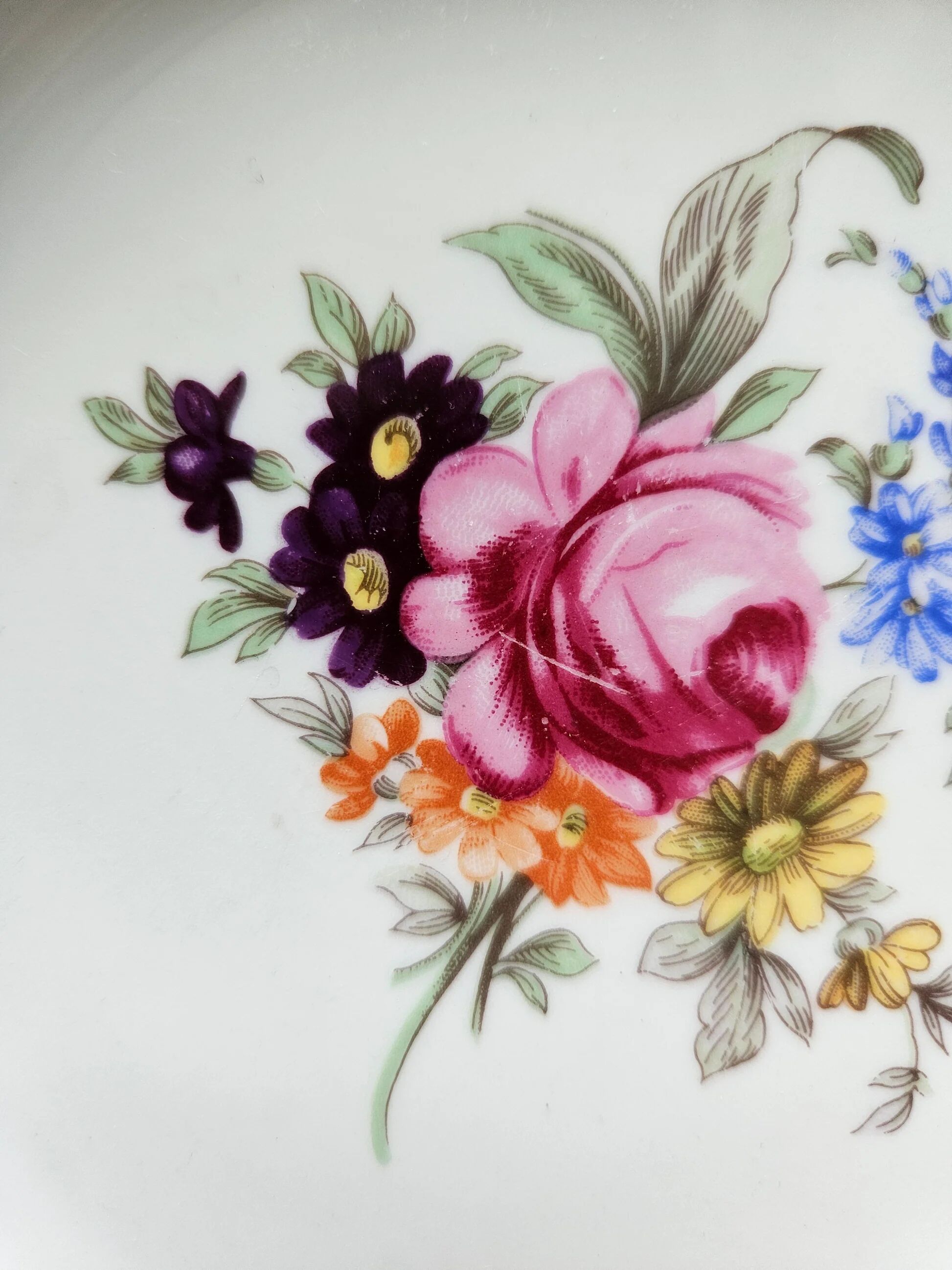 Assiettes creuses en porcelaine de Bohême