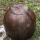 Pot en cocotier massif