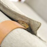 Armchair "Ruster", Yngve Ekström, Swedese, Sweden, 1960