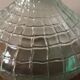 Vase soliflore glass belly neck