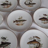 Service porcelaine ancienne thème Poissons