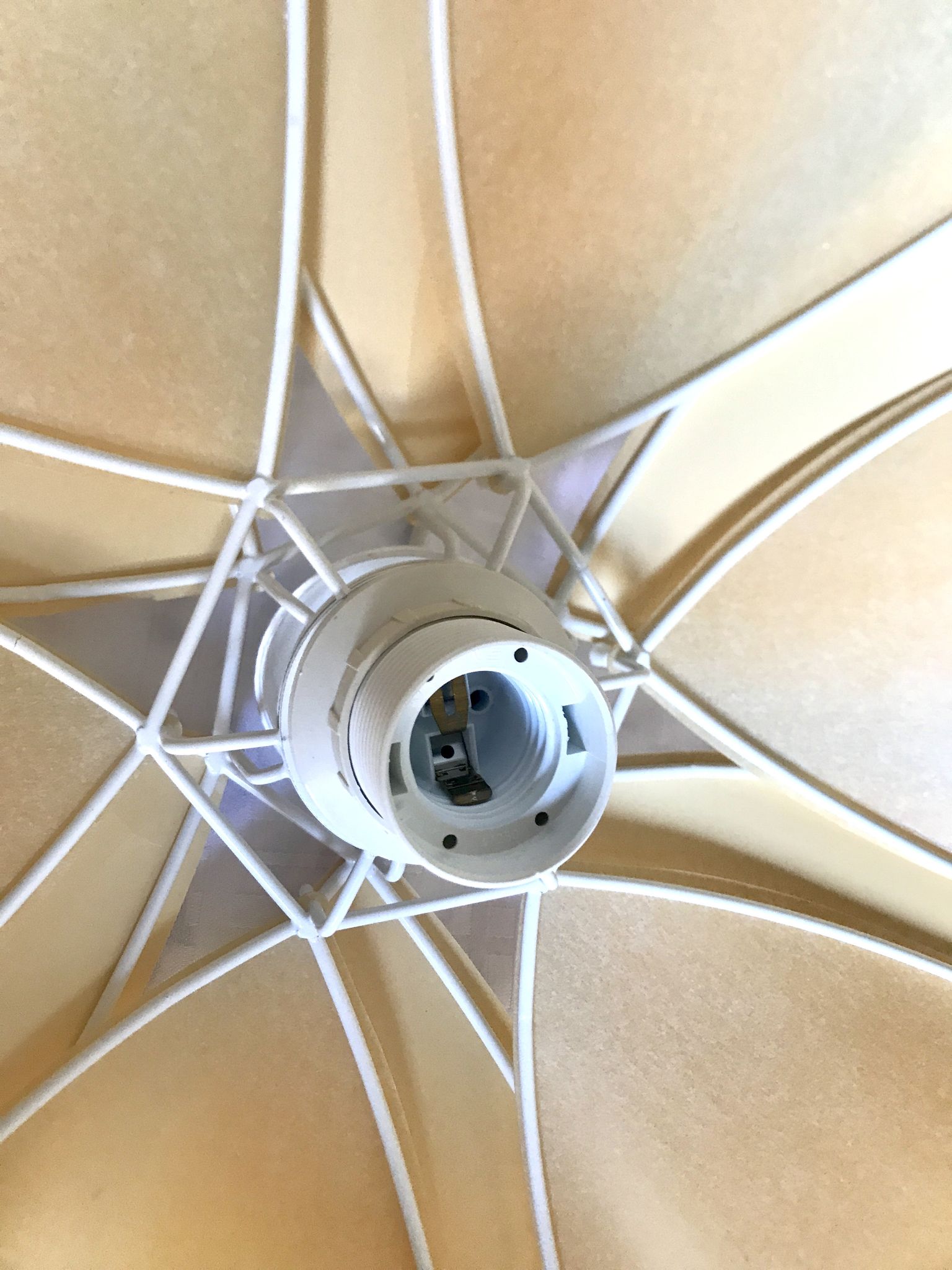 Suspension flower petals