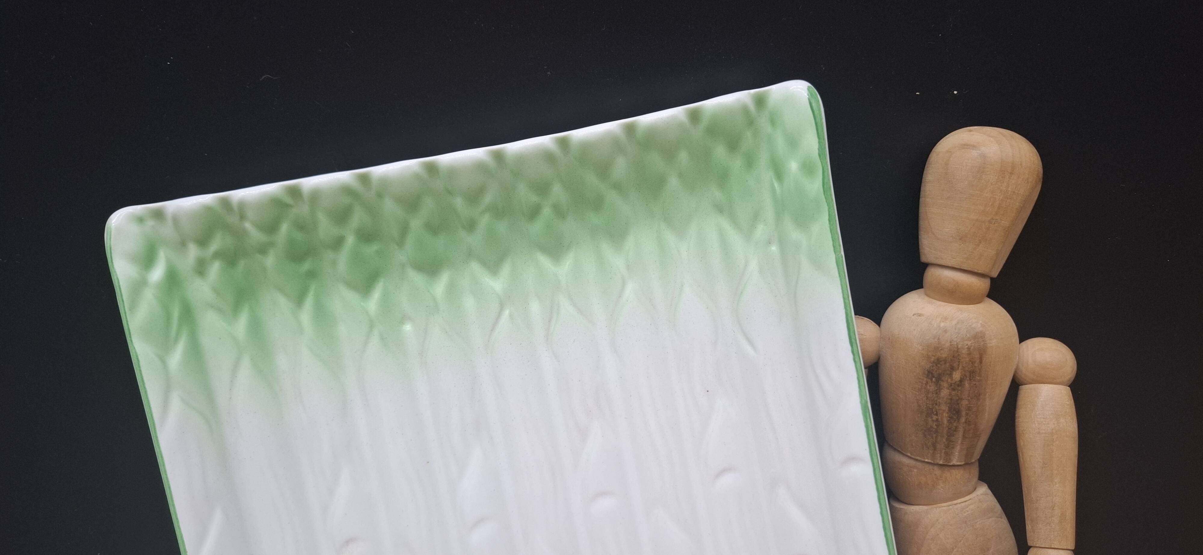 Asparagus dish Revol France