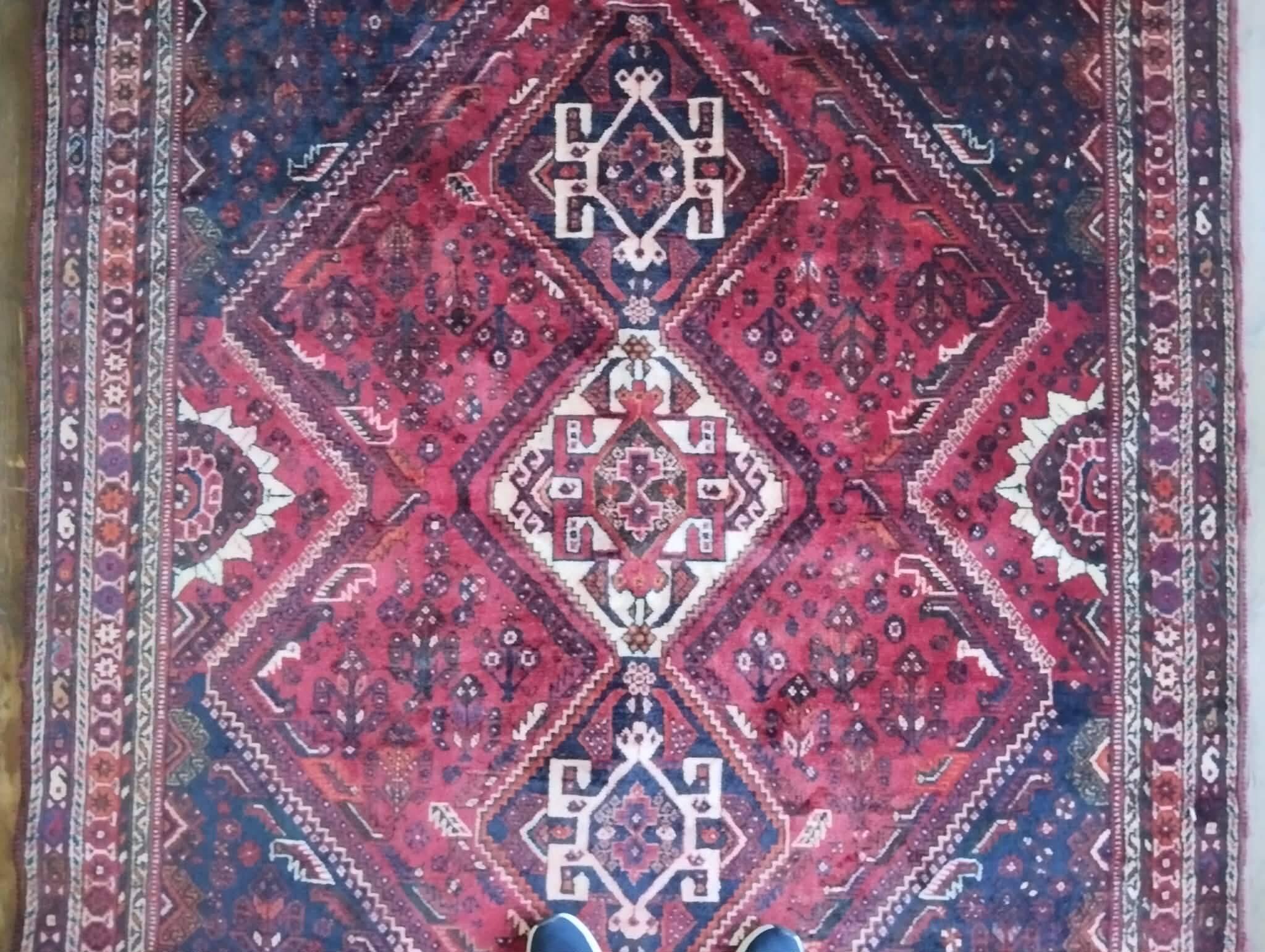 Persian Qashqai carpet handwoven 257x172cm