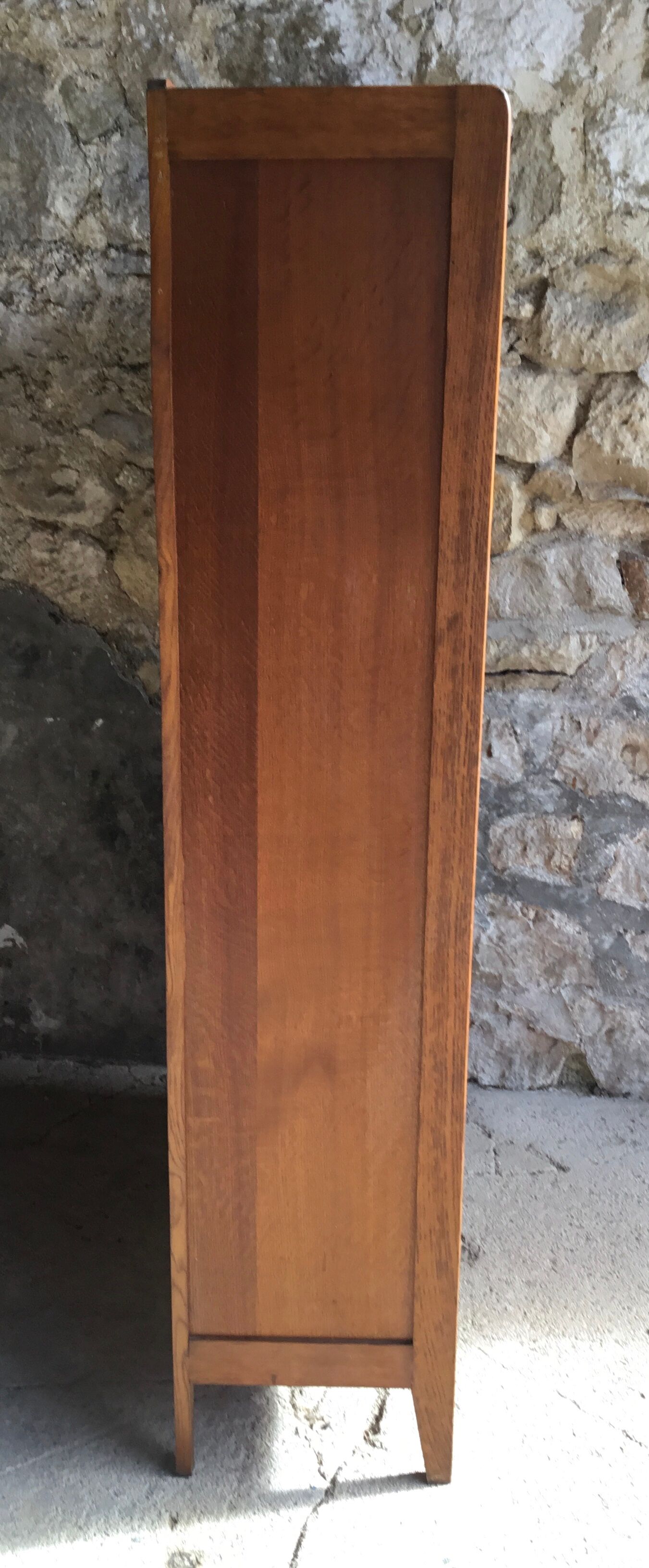 Bookcase or school glass cabinet - vintage 1960