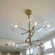 Brass & Borosilicate Glass Suspension "RD15 6 ARMS" design Schwung