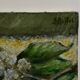 Oil on canvas still life with fruits and flowers by S. Raitel