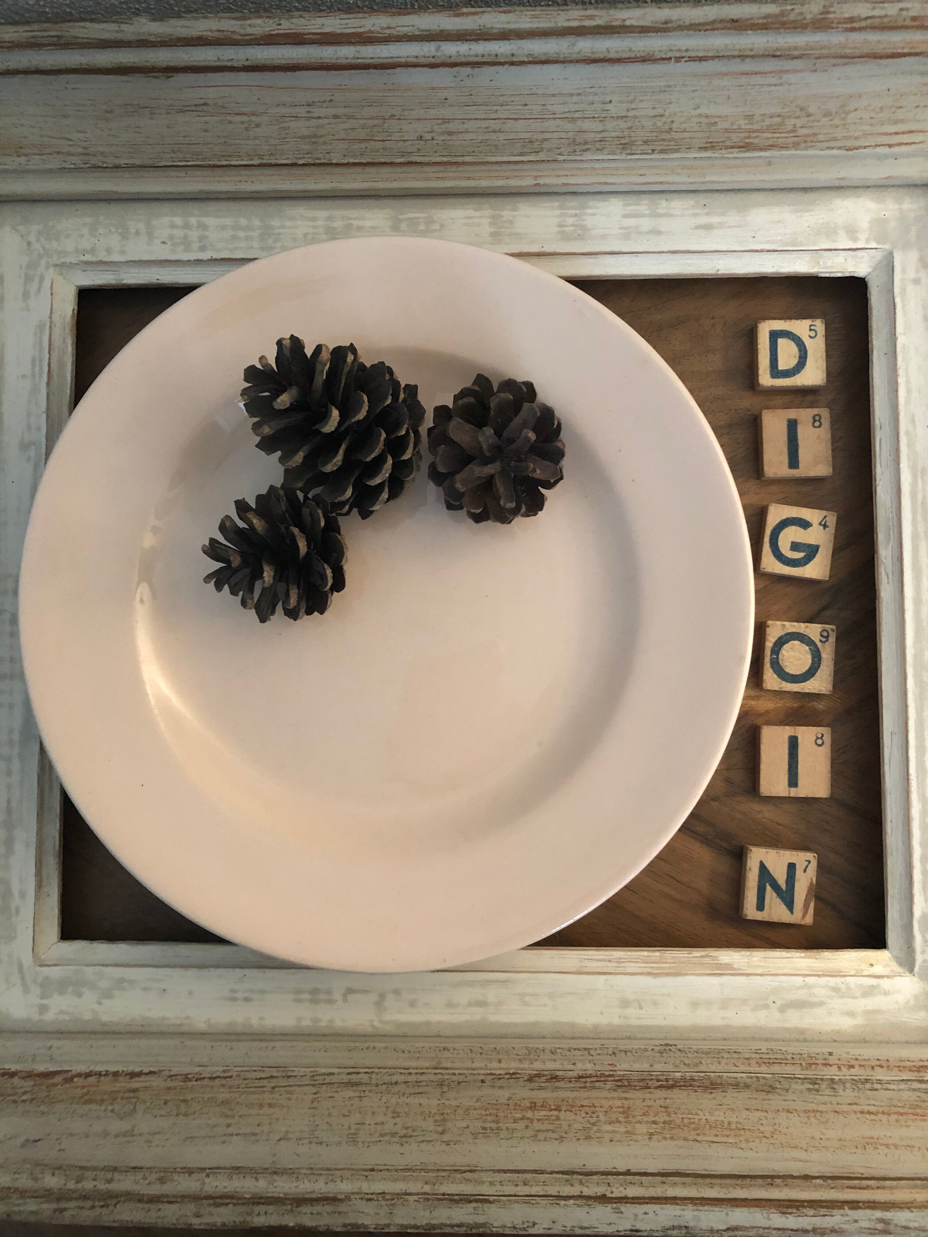 Digoin-Sarreguemines pink dessert plates