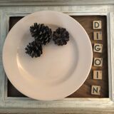 Digoin-Sarreguemines pink dessert plates