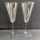 2 Flûtes Baccarat Perfection