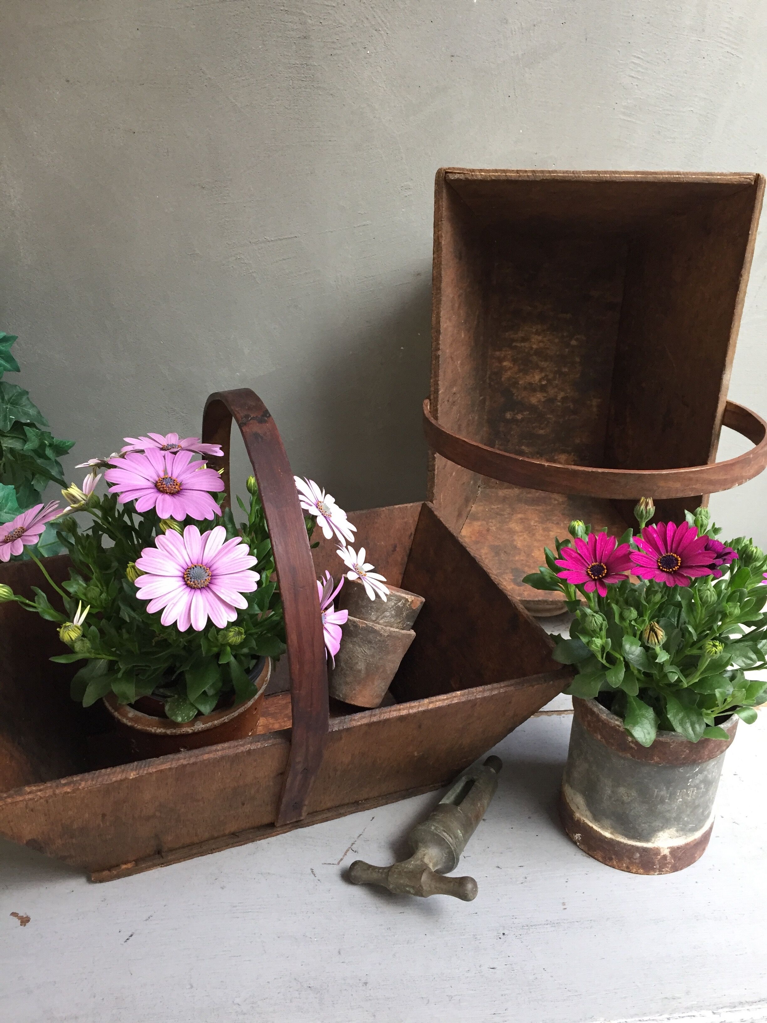 Basket of gardener
