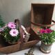 Basket of gardener