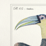 Chimera lithography animal engraving - the toupajou