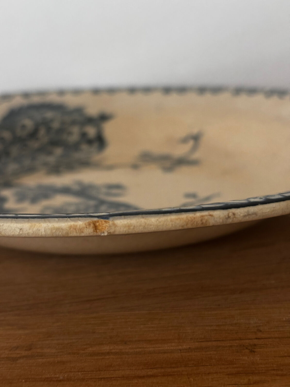 Old hollow plate Gien Terre de Fer Peafowl