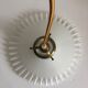 White opaline suspension