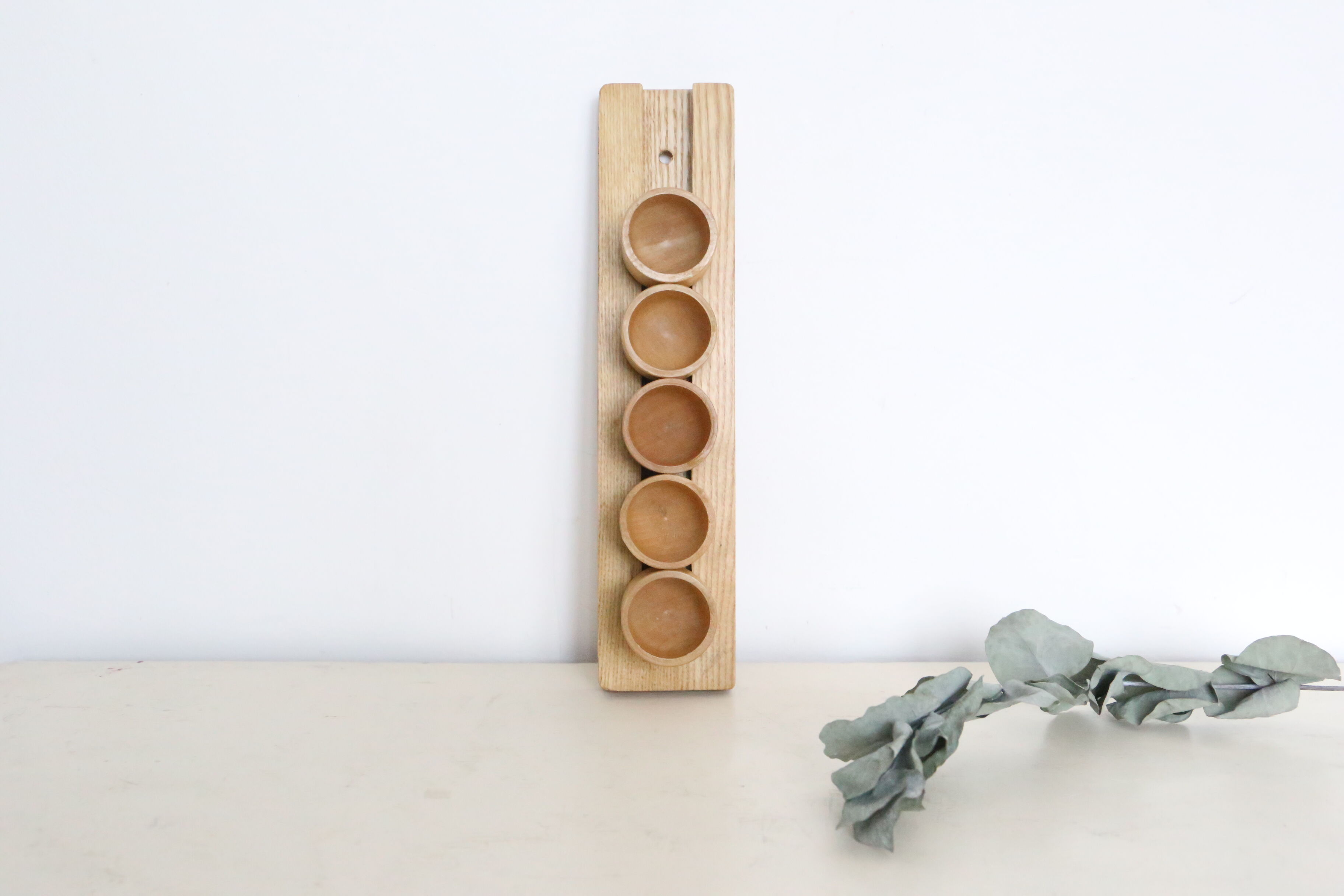 Set of 5 cockroaches on their wooden, vintage support