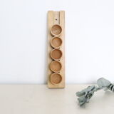 Set of 5 cockroaches on their wooden, vintage support