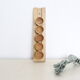 Set of 5 cockroaches on their wooden, vintage support