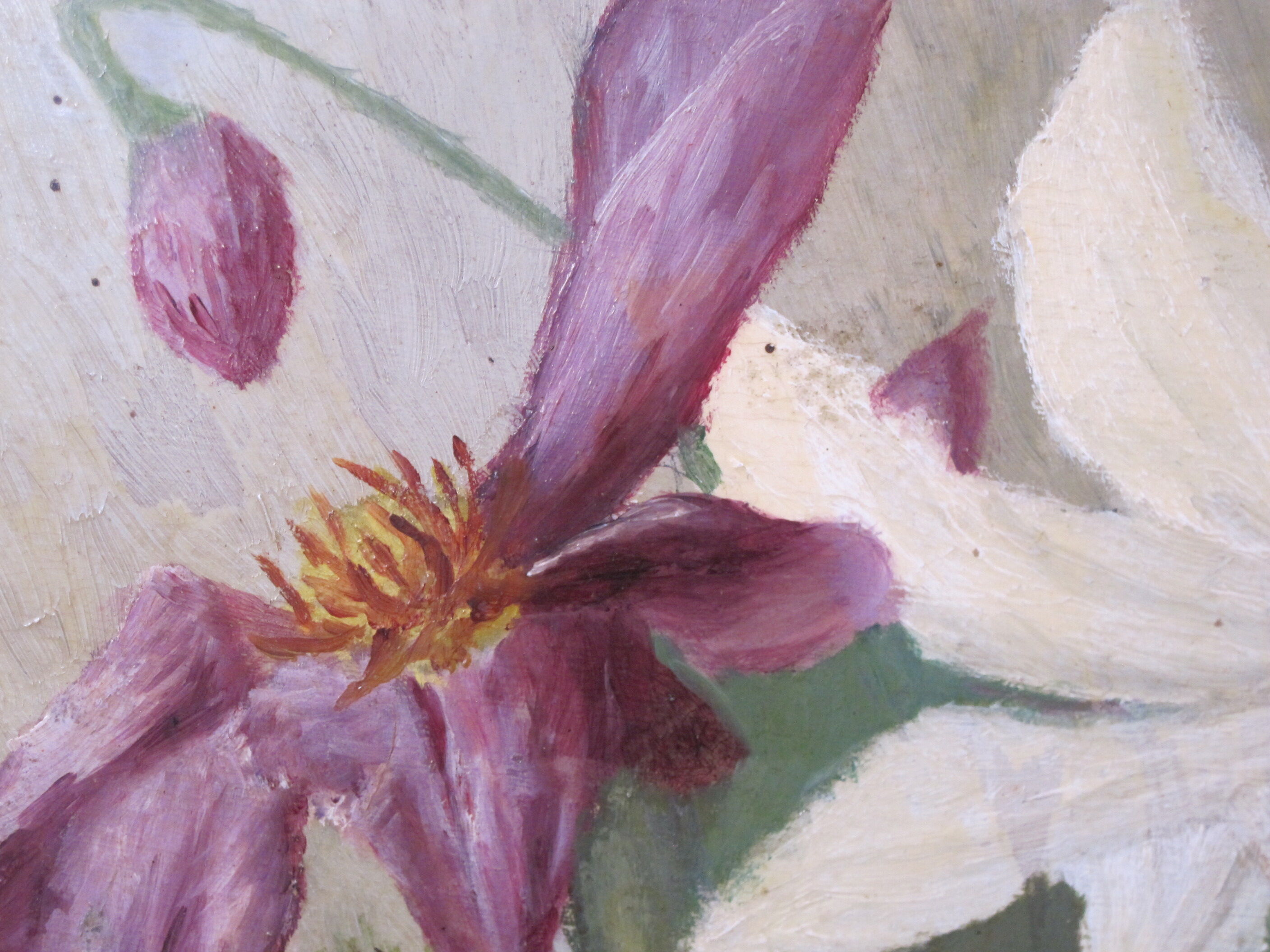 Oil on panel painting hsp white & purple clematis signed m. strich 1904
