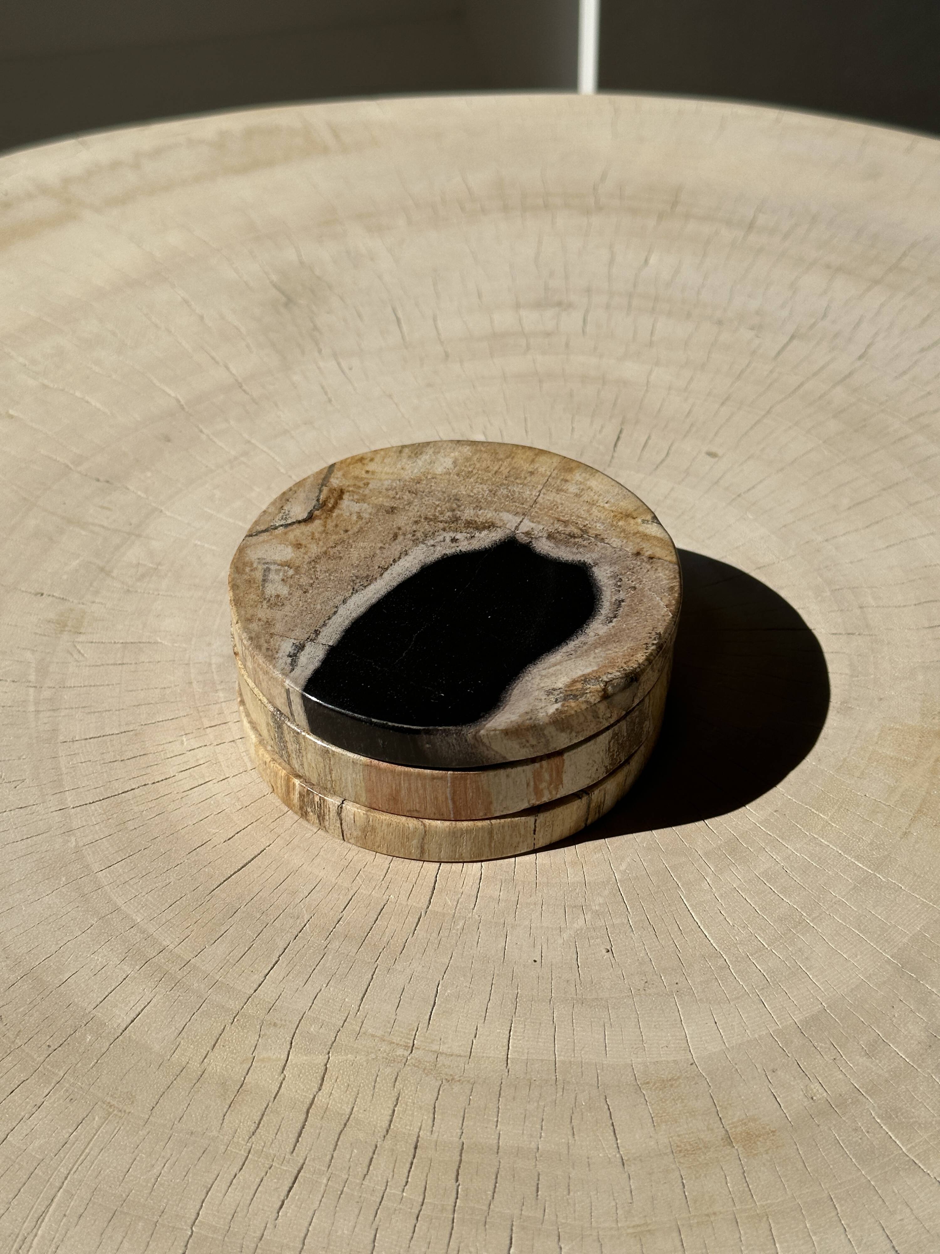Set of 3 fossilized wood coasters (clear)