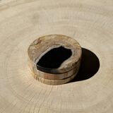 Set of 3 fossilized wood coasters (clear)