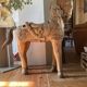 Cheval indien en bois