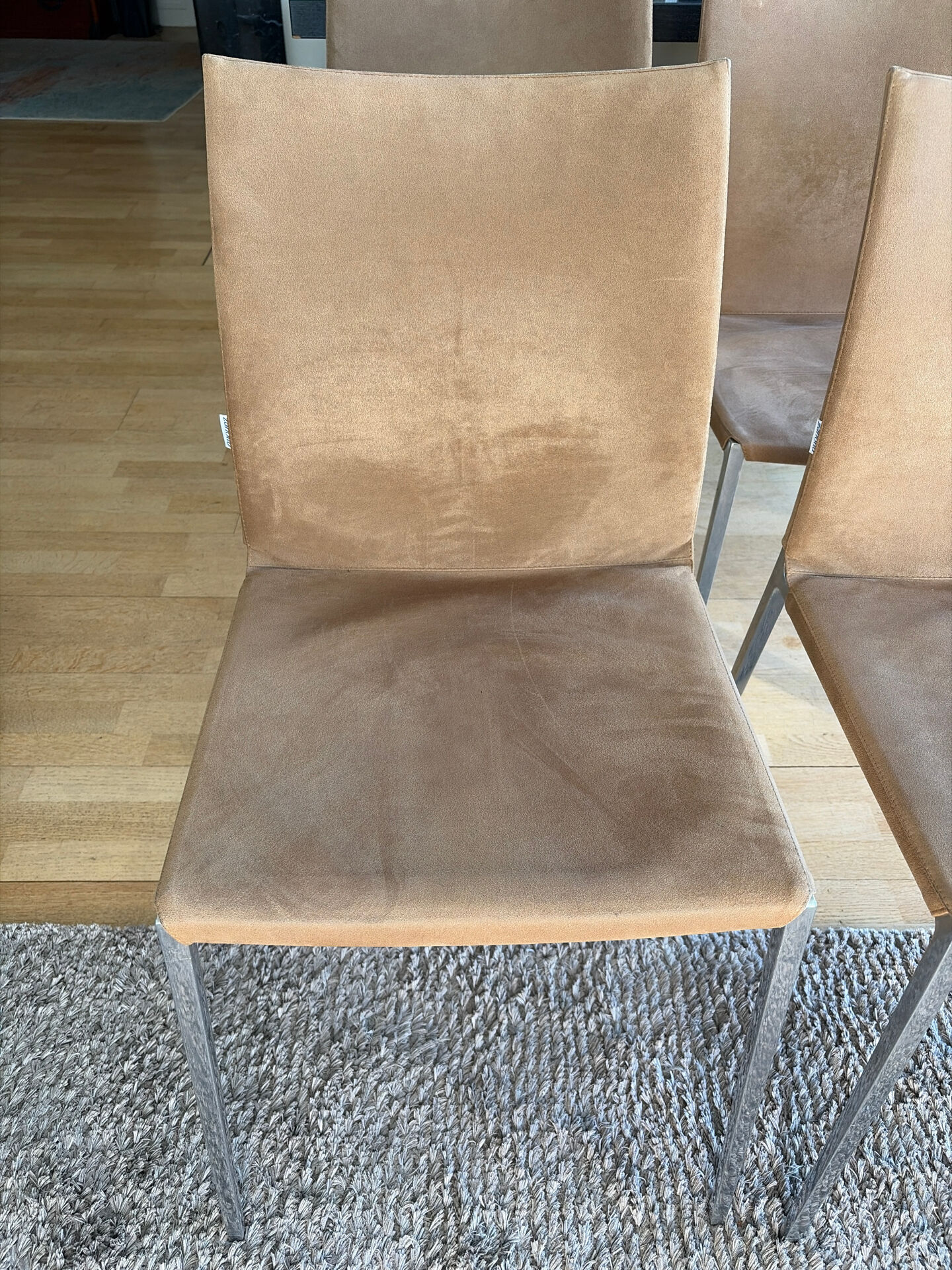 Chaises Zanotta alcanthara
