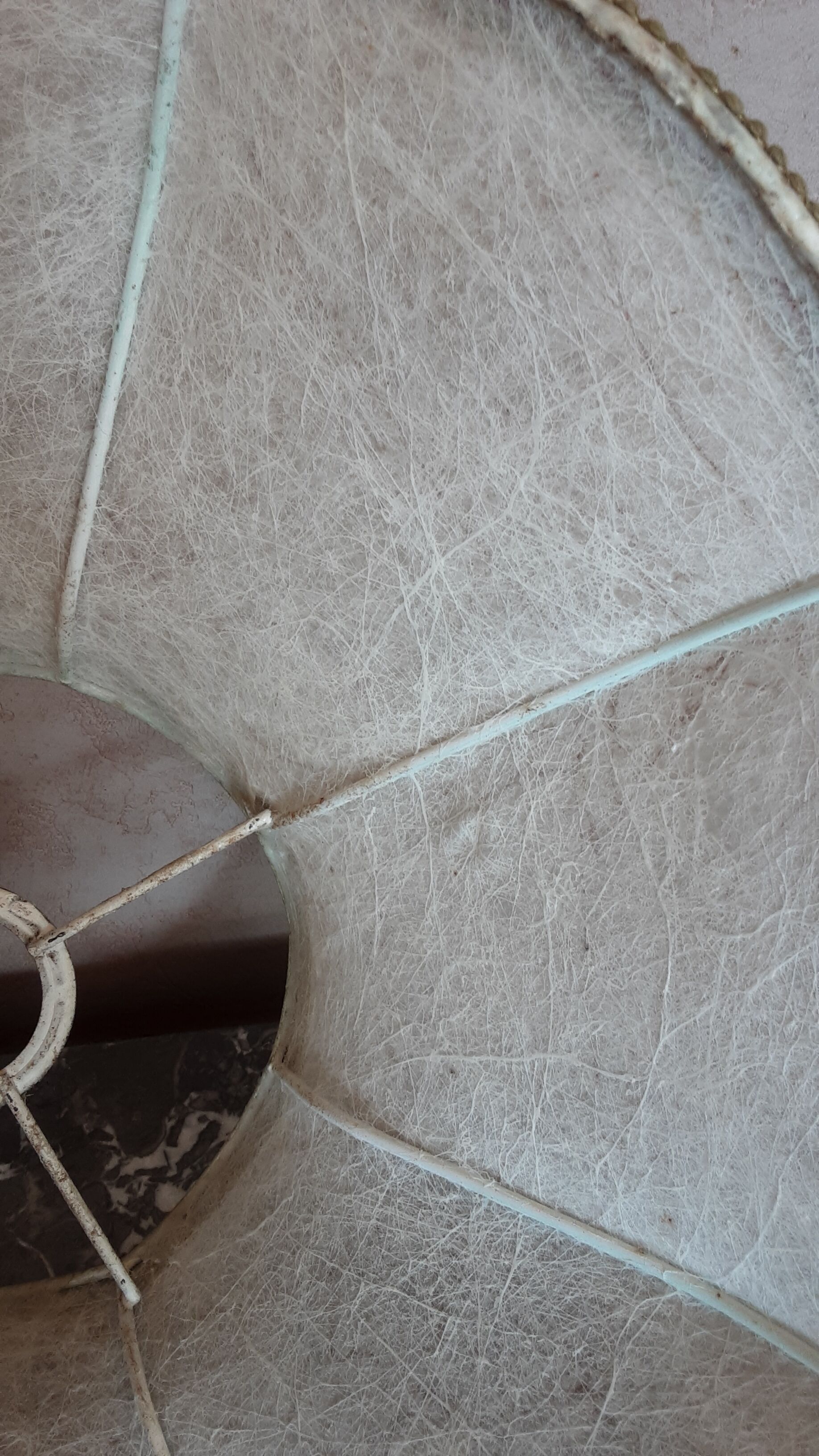 Old lampshade in pork bladder - trimess