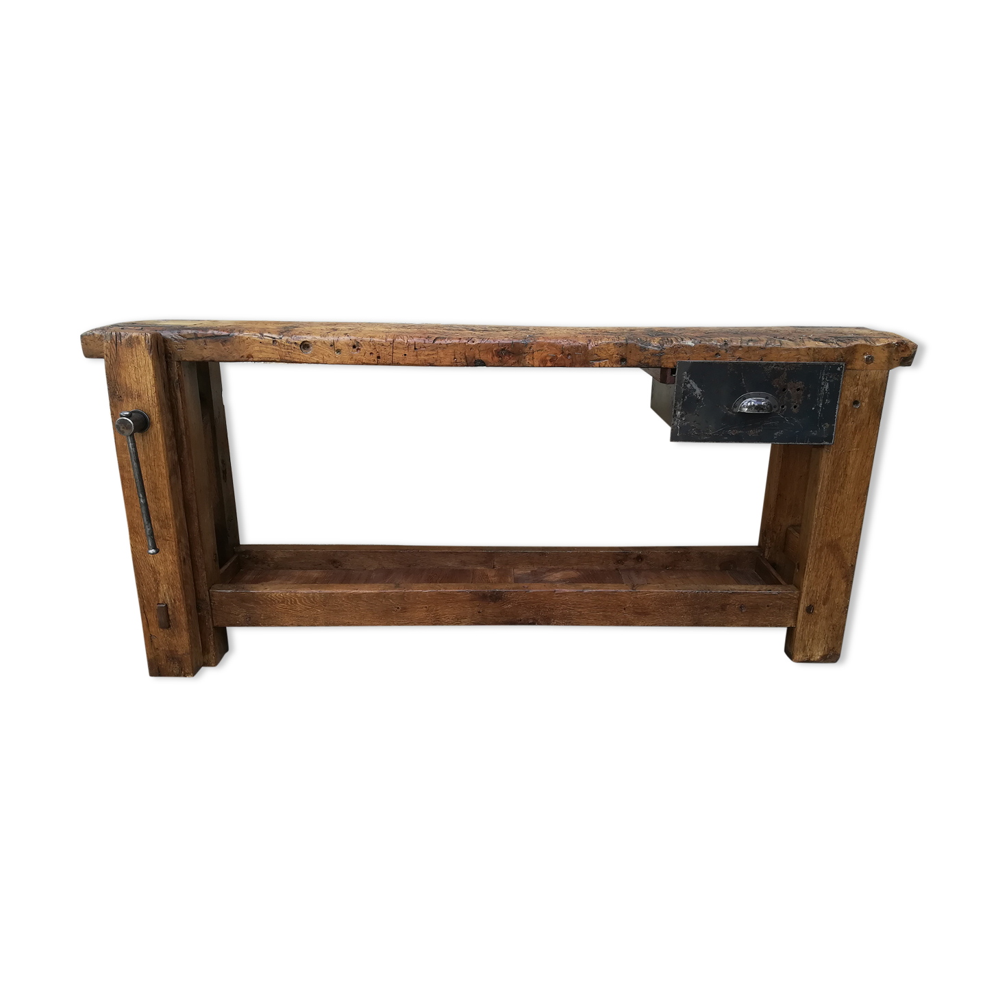 Established in elm and oak